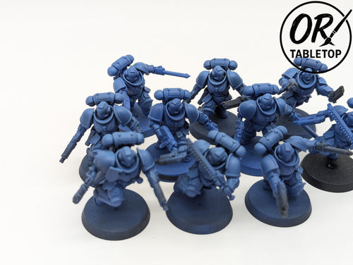 10 Assault Intercessors, Primaris Space Marines, Warhammer 40K