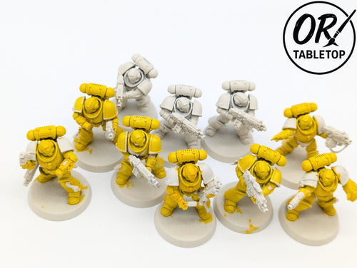 10 Intercessors, Primaris Space Marines, Warhammer 40K, Imperial Fists