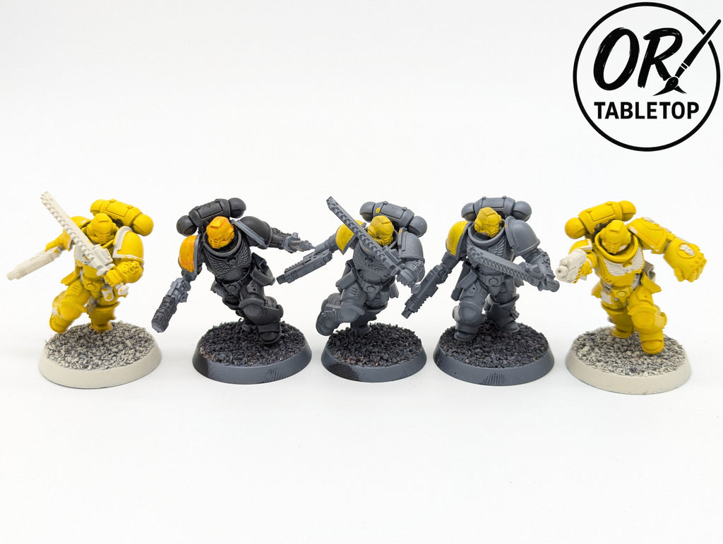 5 Assault Intercessors, Primaris Space Marines, Warhammer 40K, Imperial Fists
