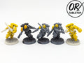 5 Assault Intercessors, Primaris Space Marines, Warhammer 40K, Imperial Fists