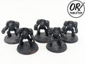 5 Terminators, Space Marines, Terminator Squad, Warhammer 40K