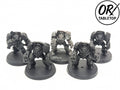 5 Terminators, Space Marines, Terminator Squad, Warhammer 40K